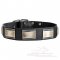 Cane Corso Dog Collar with Steel Plates and Hardware