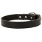Quality Leather Dog Collars For Mastiff 1.2 in Wide