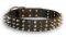 Gladiator Style Dog Collars for Neapolan Mastiff with Pyramids and Spikes