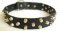 Designer Dog Collar with Finery for Dogue De Bordeaux Style