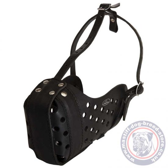 Great Dane Basket Muzzle for Mastiff Training and Walking