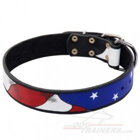 Trendy Dog Collar with Hand-Painting in American Style