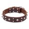 Leather Dog Collar with Skulls and Spikes
