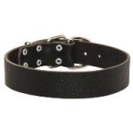 Mastiff Dogs Collars for Training and Walking 1.6 in Wide Leather