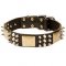 Luxury Dog Collar with Plates, Spikes and Cones for Neapolitan Mastiff