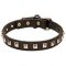 Quality Leather Dog Collars for Mastiff, Nickel Studded Design