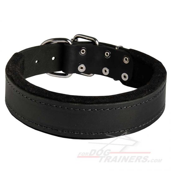 Soft Leather Collars for Dogs Walking, Felt Padded
