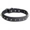 Strong Dog Collars with Row of Spikes for Neapolitan Bull Mastiff
