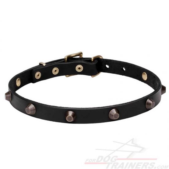 Mastiff Puppy Collars with Brass Cones