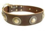 Leather Dog Collar of Vintage Style, with Steel Buckle and Medals