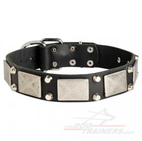 Handmade Leather Collar for Neapolitan Mastiff of Gladiator Style