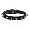 Spiked Dog Collar Design, 3/4 Inch Wide Leather