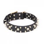 Mastiff Spiked Collars for Big Dogs with Brass Skulls