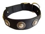 Dog Collar For Great Dane "Exotic And Classic"