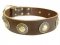 Dog Collars for Large Dogs Decorated with Silver Conchos