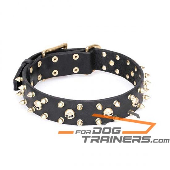 Mastiff Spiked Collars for Big Dogs with Brass Skulls