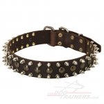 Cane Corso Leather Dog Collar Studded with Old-Bronze Rivets and Spikes