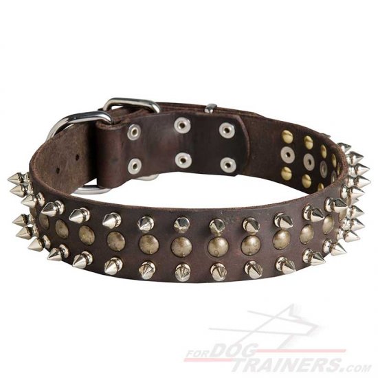 Fancy Dog Collar for Cane Corso Mastiff Spiked and Studded