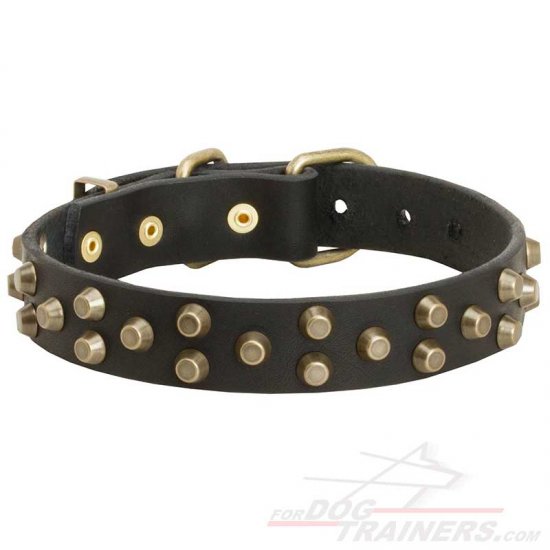 Brass Studded Dog Collar for Cane Corso