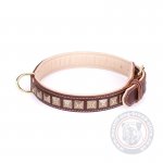 Mastiff Dog Collars With Shiny Studs "Cone"