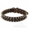 Large Spiked Dog Collar for Dogue De Bordeaux with Brass Rivets