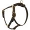 Luxury Dog Harness for Mastiff Breeds Walking