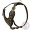 Modern Dog Harness for Mastiff with Brass Studs