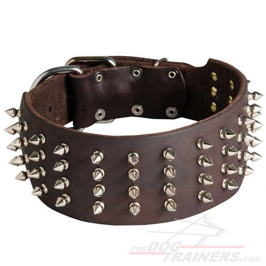Large Dog Collar for Dogue De Bordeaux with Spikes