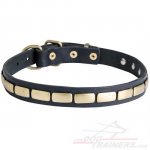 Buy Decorated Mastiff Collar for Dogue-de-Bordeaux