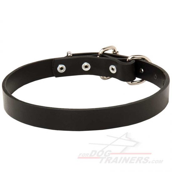 Best training collar for great dane cheap