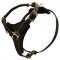 Great Dane Harness For Mastiff Walking "Let’s Go & Walk Slowly"