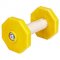 Buy Wooden Dumbbell for Schutzhund Training 'Retrieve Easy'