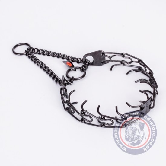 Prong Collar For English Mastiff "Strict Orders"