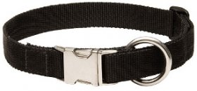 Dog Collar with Metal Quick Release Buckle for Italian Mastiff