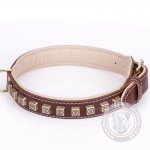 Best Collar For Mastiff With Brass Decorations "Cube"