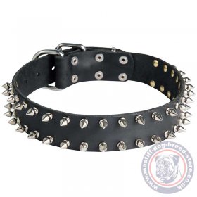 Spiked Leather Dog Collar for Bullmastiff