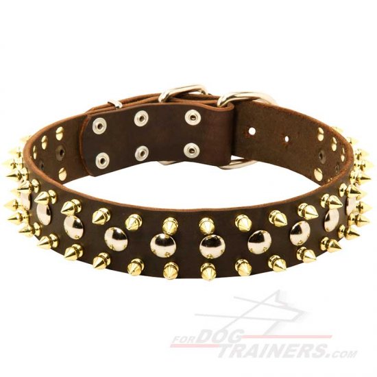 Luxury Dog Collar Studded Design for Cane Corso Mastiff