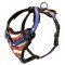 Leather Dog Harness for Mastiff Training Painted by Hands