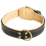 Soft Padded Leather Dog Collar for Mastiff Breeds XL Dogs