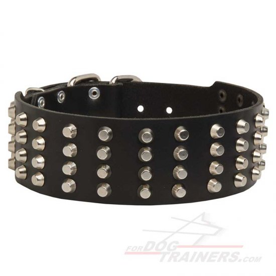 Studded Dog Collars 2 Inch Wide for Dogue De Bordeaux