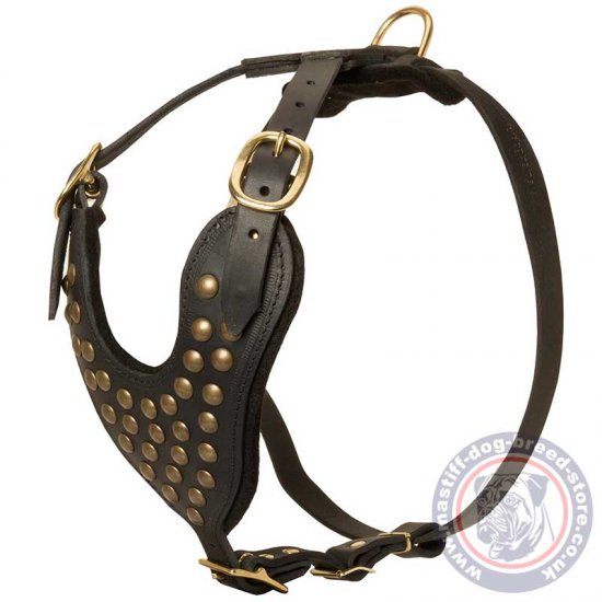 Modern Dog Harness for Mastiff with Brass Studs