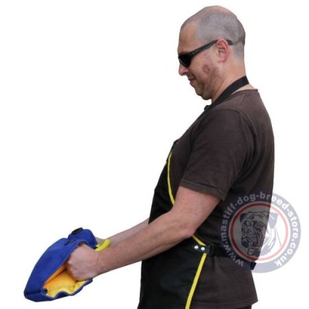 Buy Bite Wedge Pillow for Mastiff Puppies K9 Training Biting