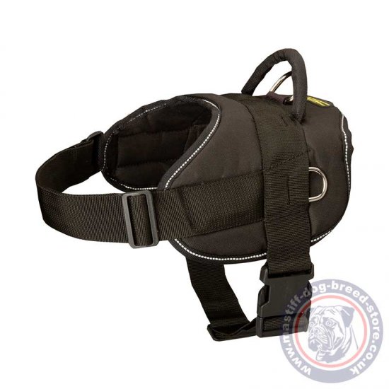 Night Walking Mastiff Harness with Reflective Stitching
