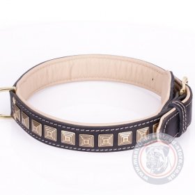 Mastiff Dog Collar "Pyramid" With Brass Adornment