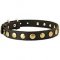Fancy Dog Collar with Studs for Mastino Napoletano