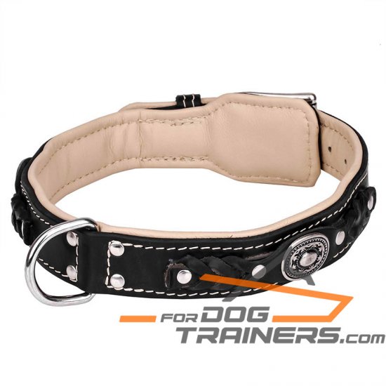 Thick Dog Collar for Large Dogs Like Mastiff, Gorgeous Design