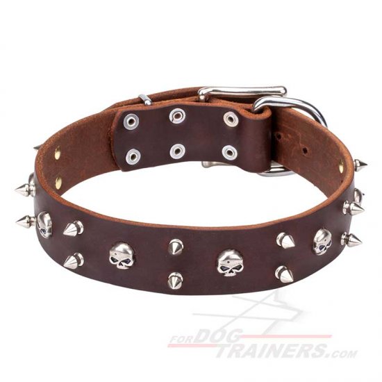 Leather Dog Collar with Skulls and Spikes