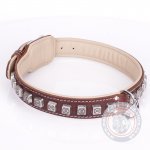 Best Dog Collar For Mastiff With Silver-Like Studs "Cube"