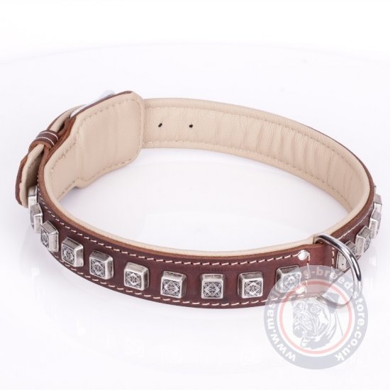 Best Dog Collar For Mastiff With Silver-Like Studs "Cube"