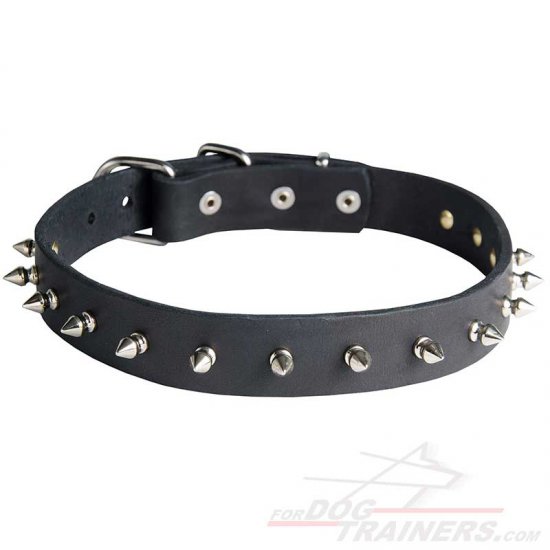 Strong Dog Collars with Row of Spikes for Neapolitan Bull Mastiff